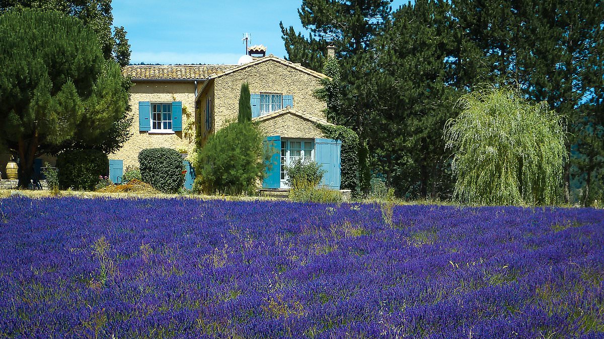 House prices in France fall again - but buyers are warned high renovation costs could mean a bargain turns into a money pit
